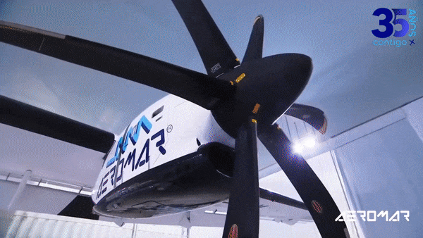 ezgif.com-optimize (6)