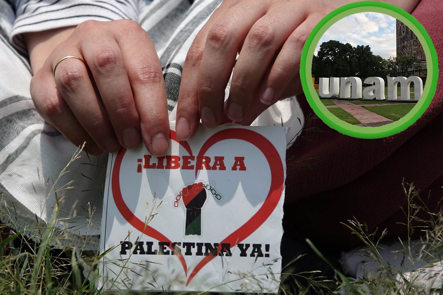 unam-palestina.jpg
