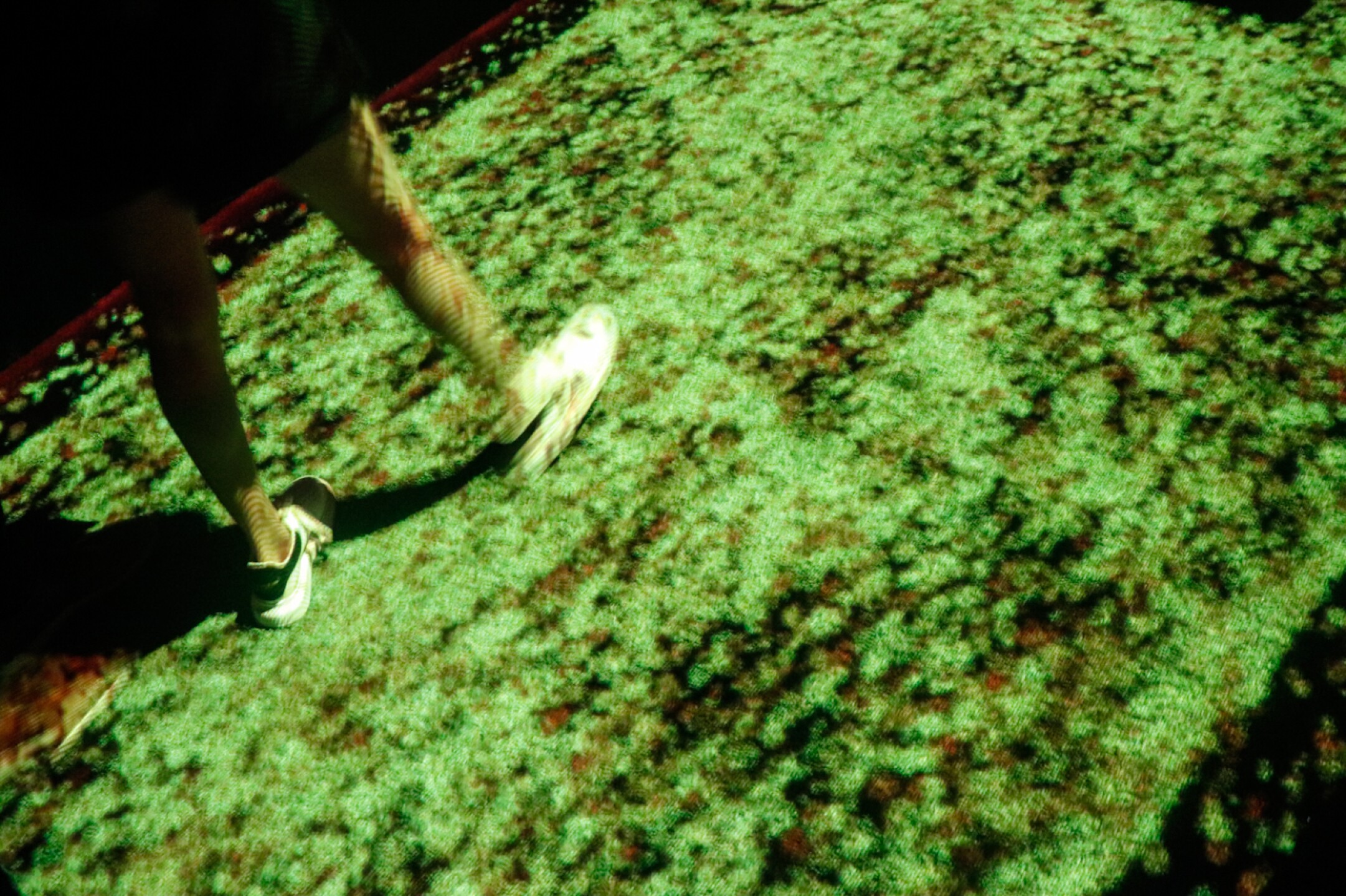 Seleccion-mexicana-experiencial-inmersiva-palacio-de-los-deportes-13