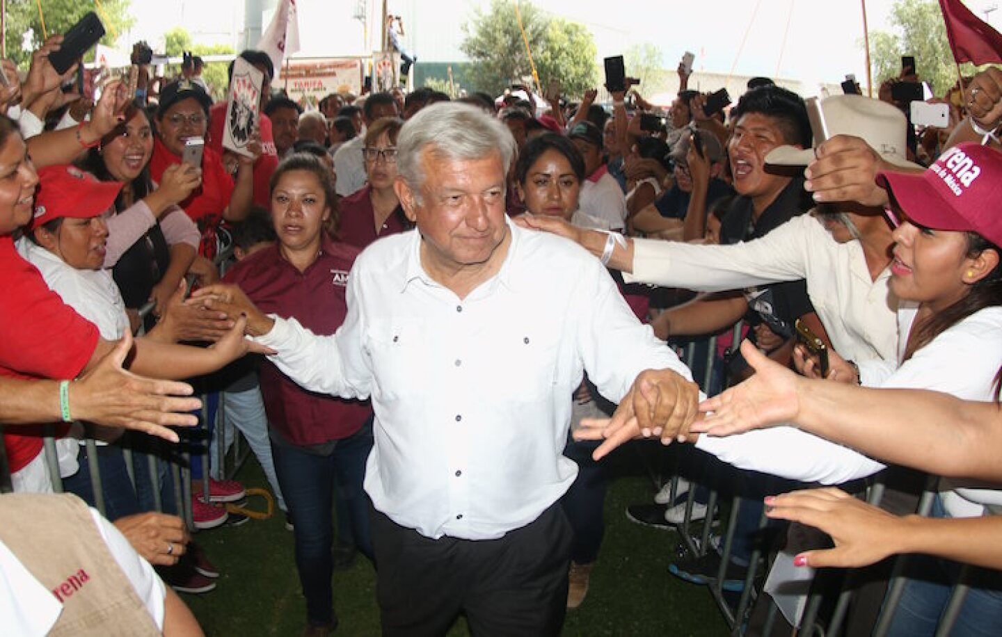 amlo_wp