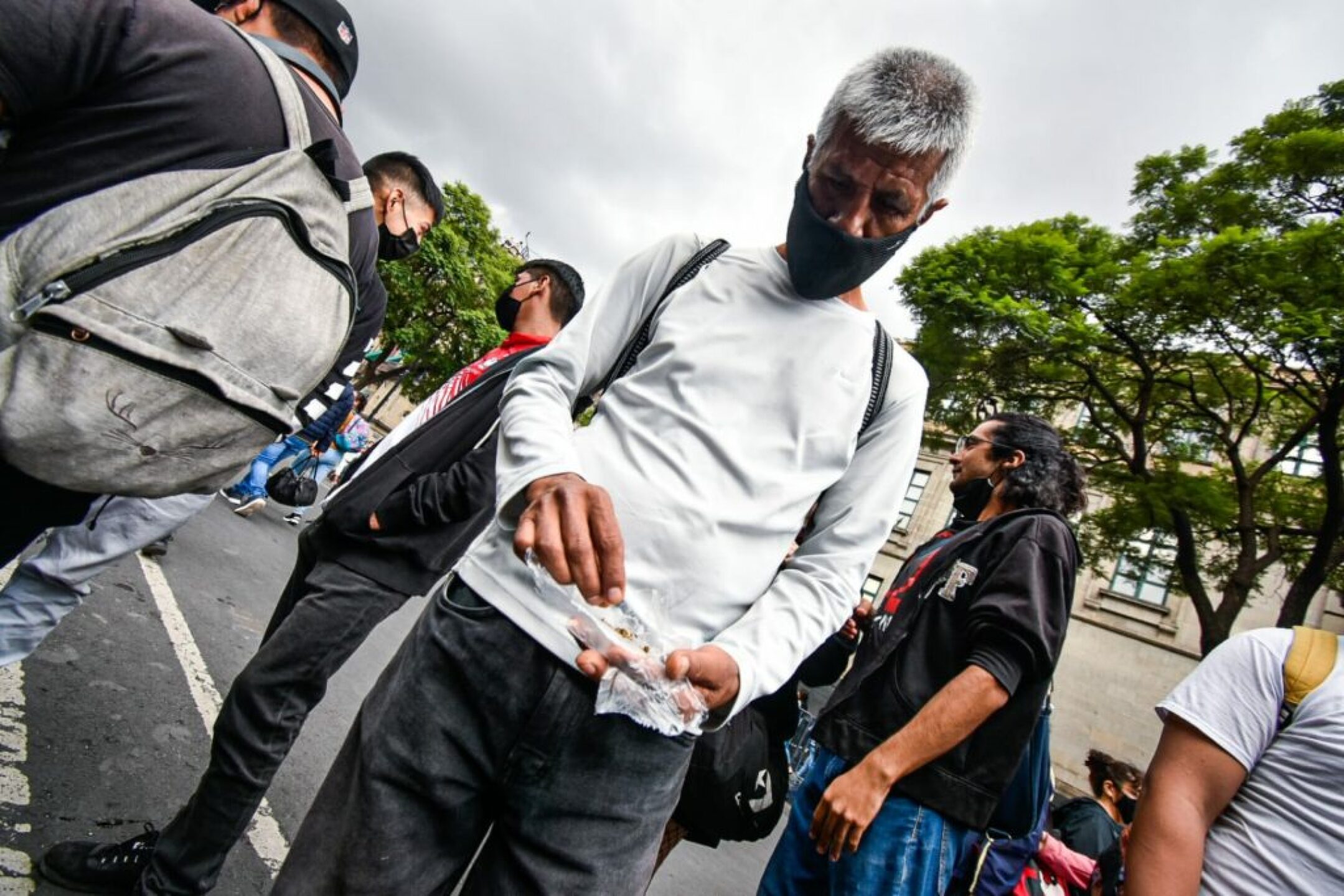 marihuana_cannabis_4-1024x683