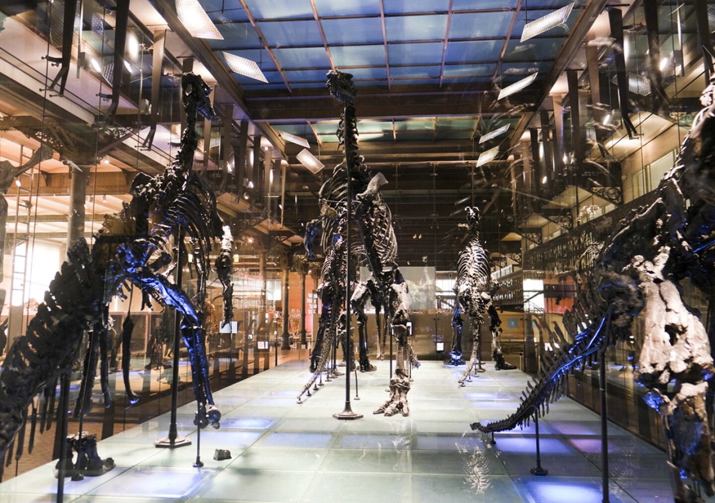 Bruselas recomienda arte para la salud mental