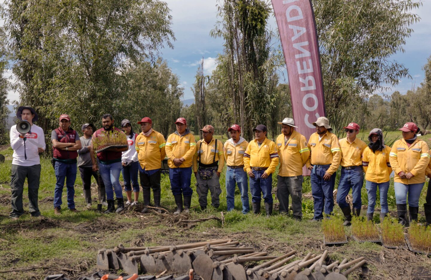 organon reforestación xochimilco