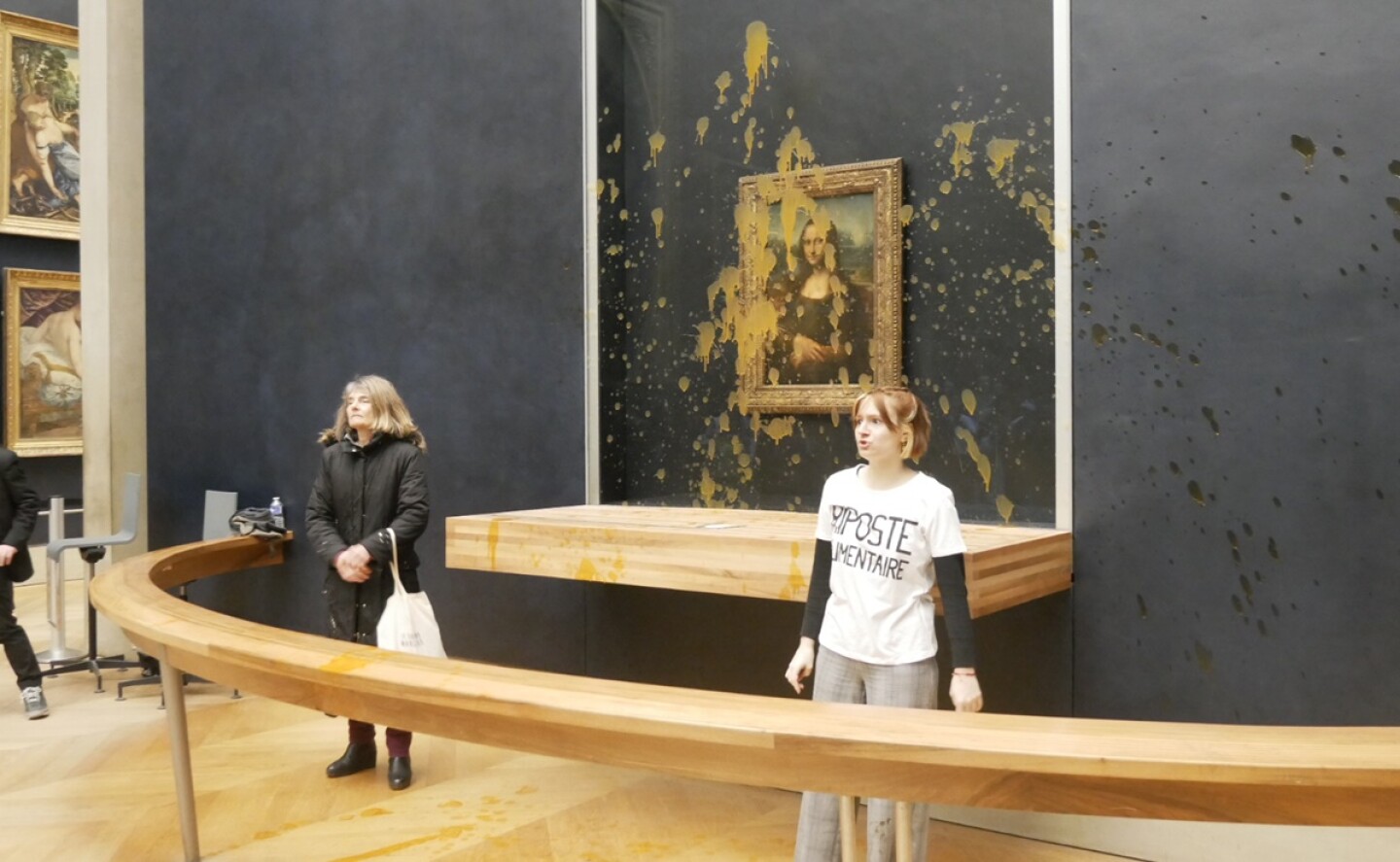 mona_lisa_sopa_leonardo_da_vinci_louvre_activistas