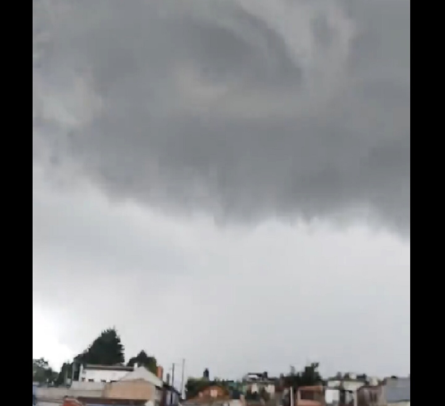 Culebras en Chiapas.jpg