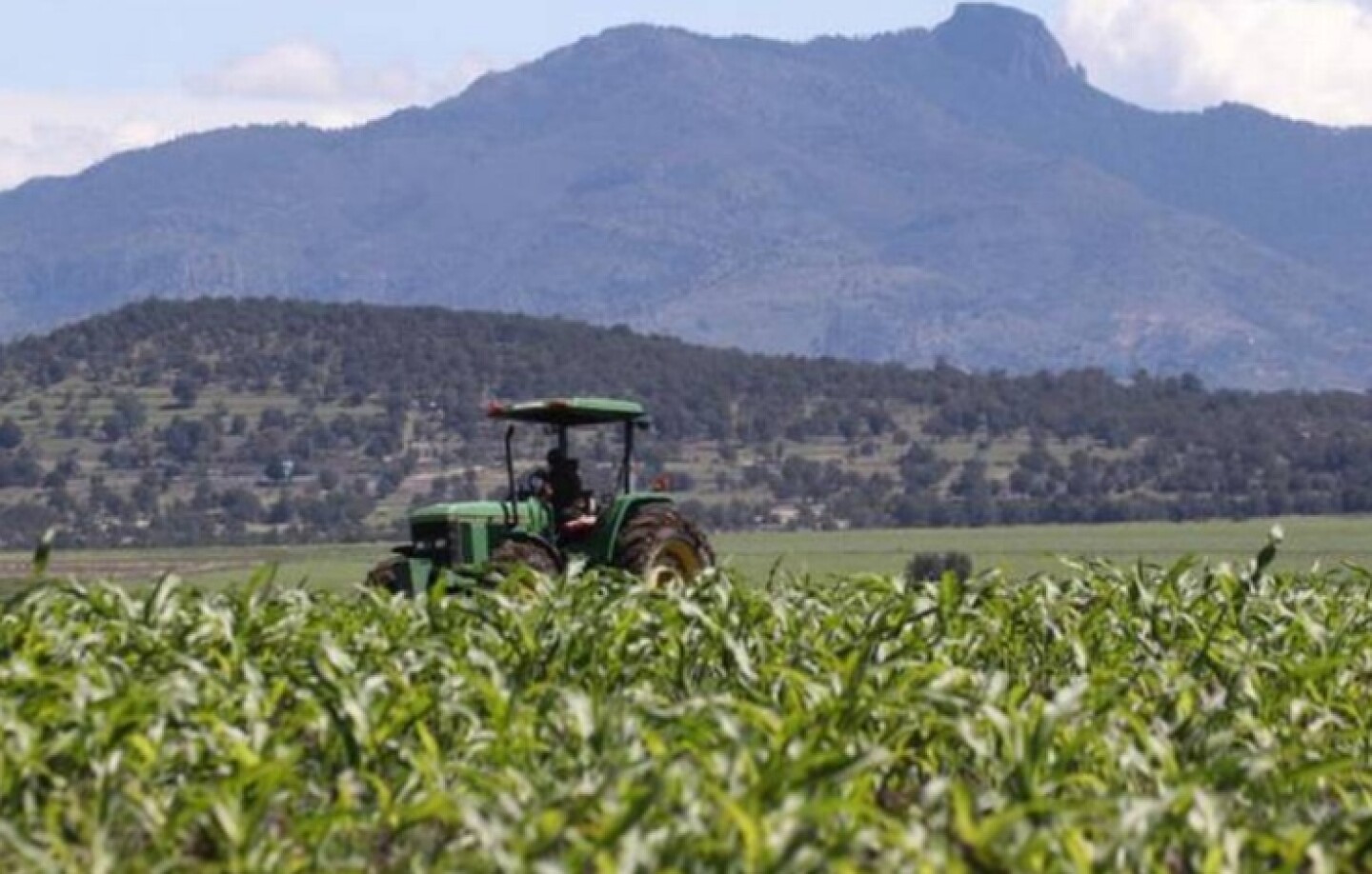 Campesinos_campo_apoyos