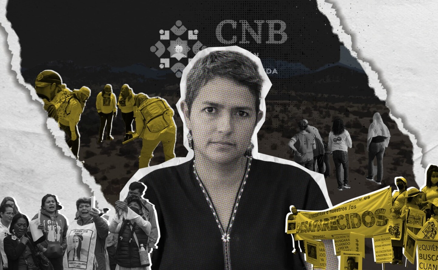 busqueda-desaparecidos-cnb