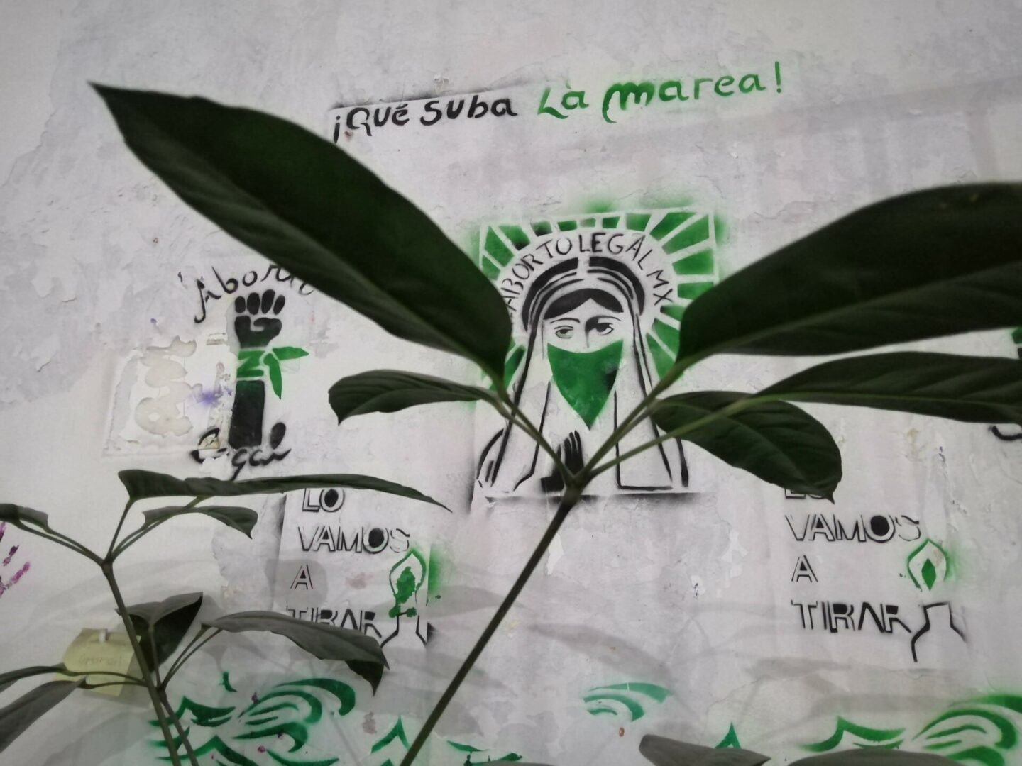 aborto-legal-mexico
