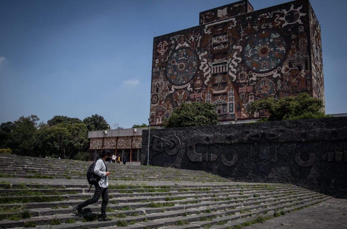 profesor Guanajuato