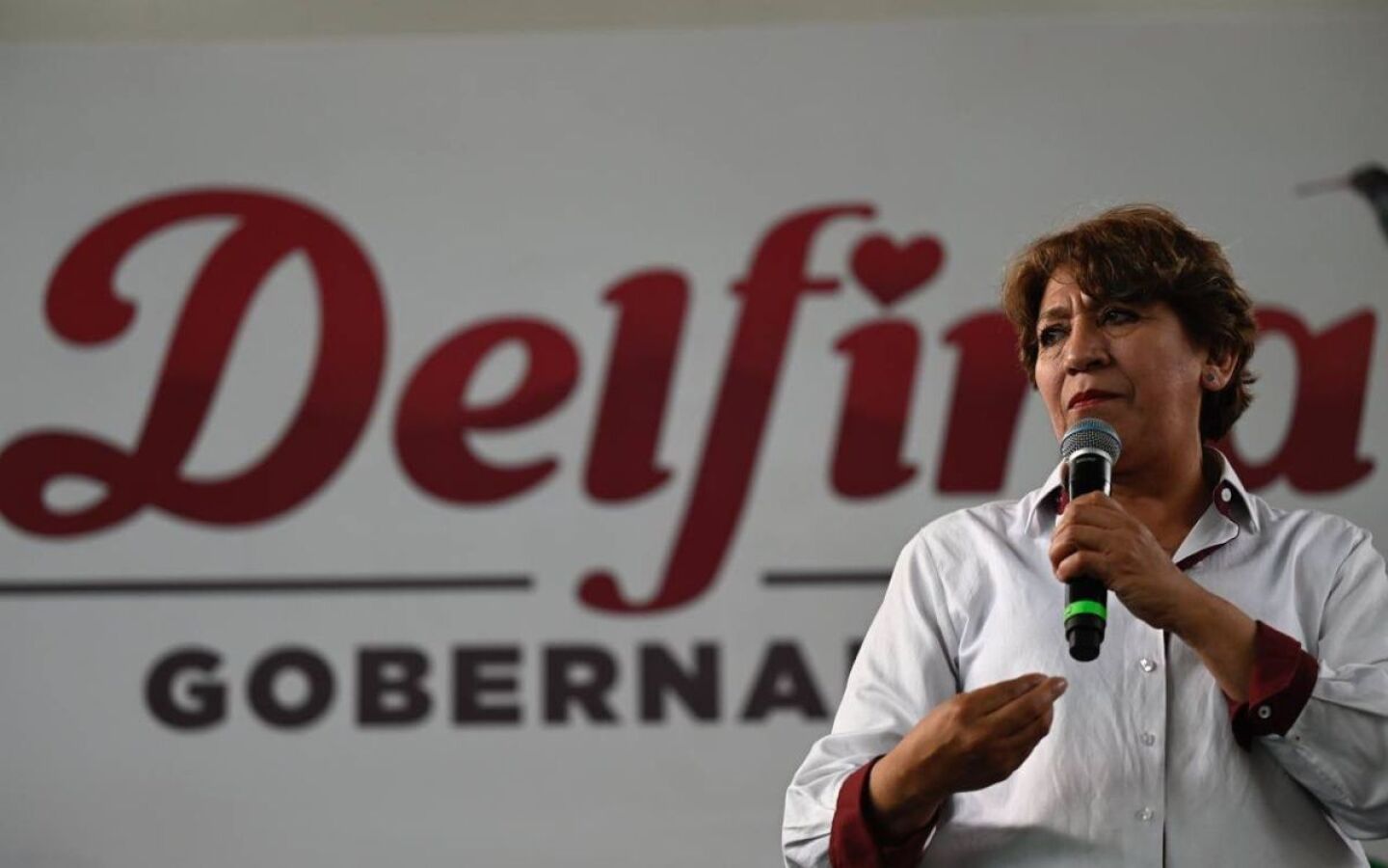 delfina_debates