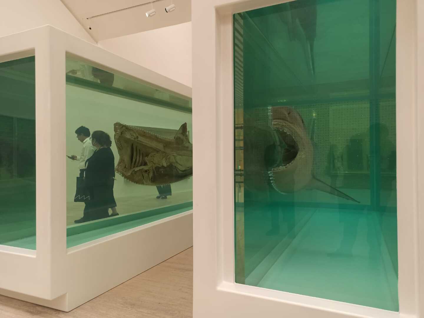damien_hirst_museo_jumex_0