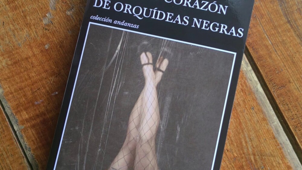 No ser trans