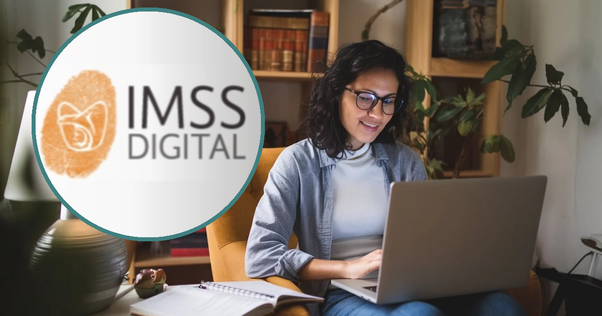 ¿Cómo consulta tu Número de Seguridad Social (NSS) del IMSS? Este es el ...