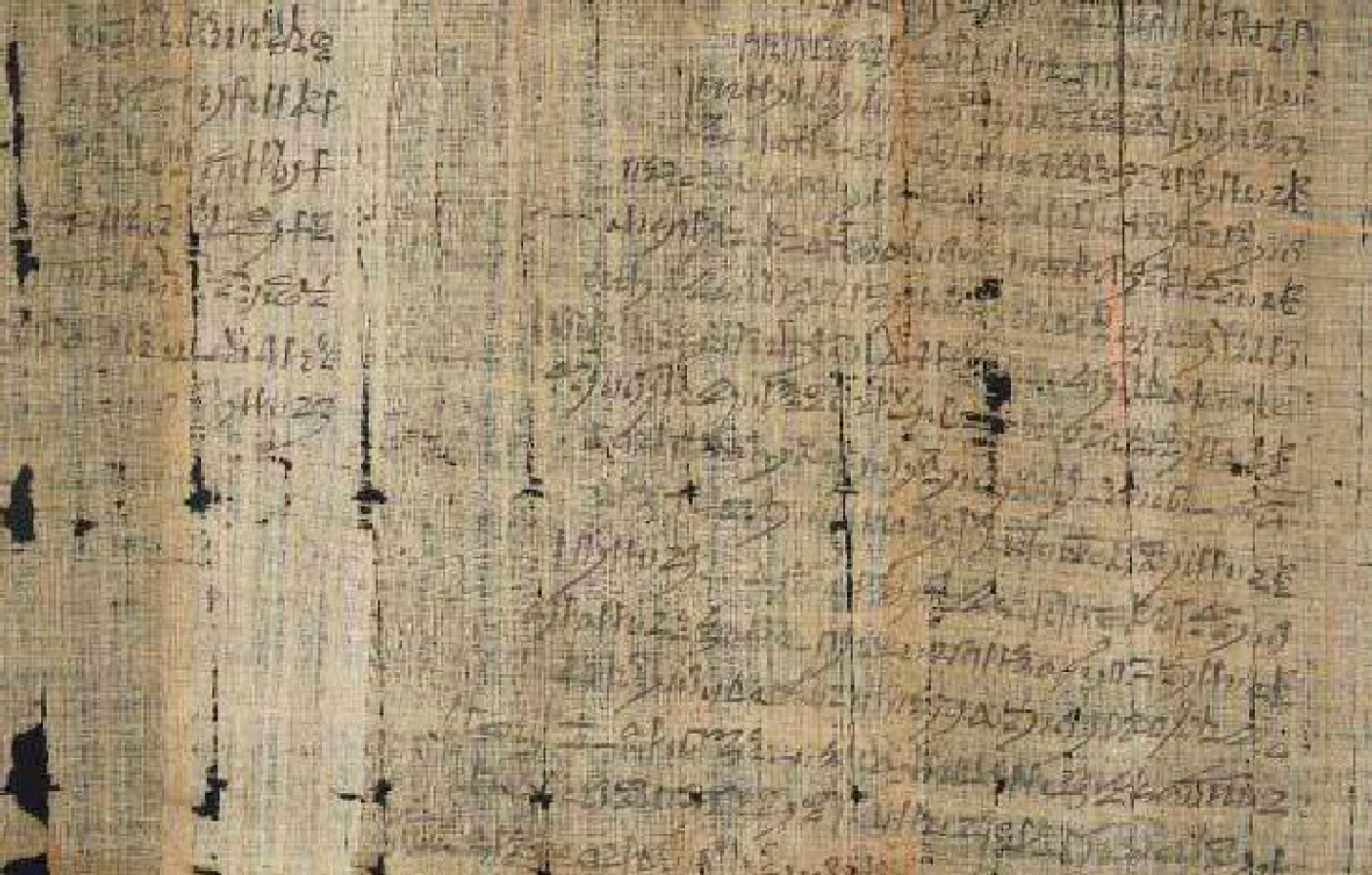 papyrus