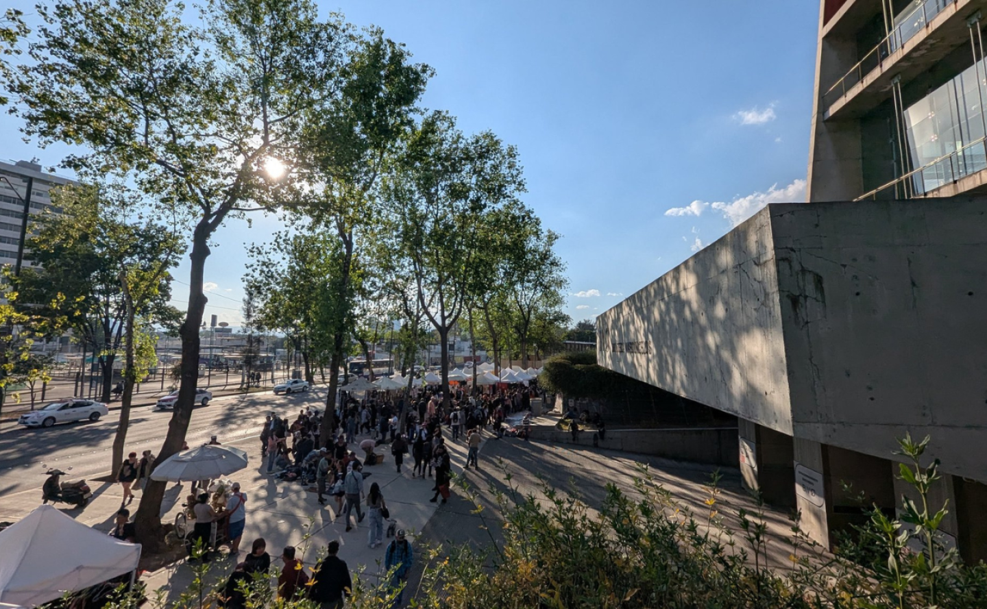 asi-es-la-famosa-biblioteca-vasconcelos.png