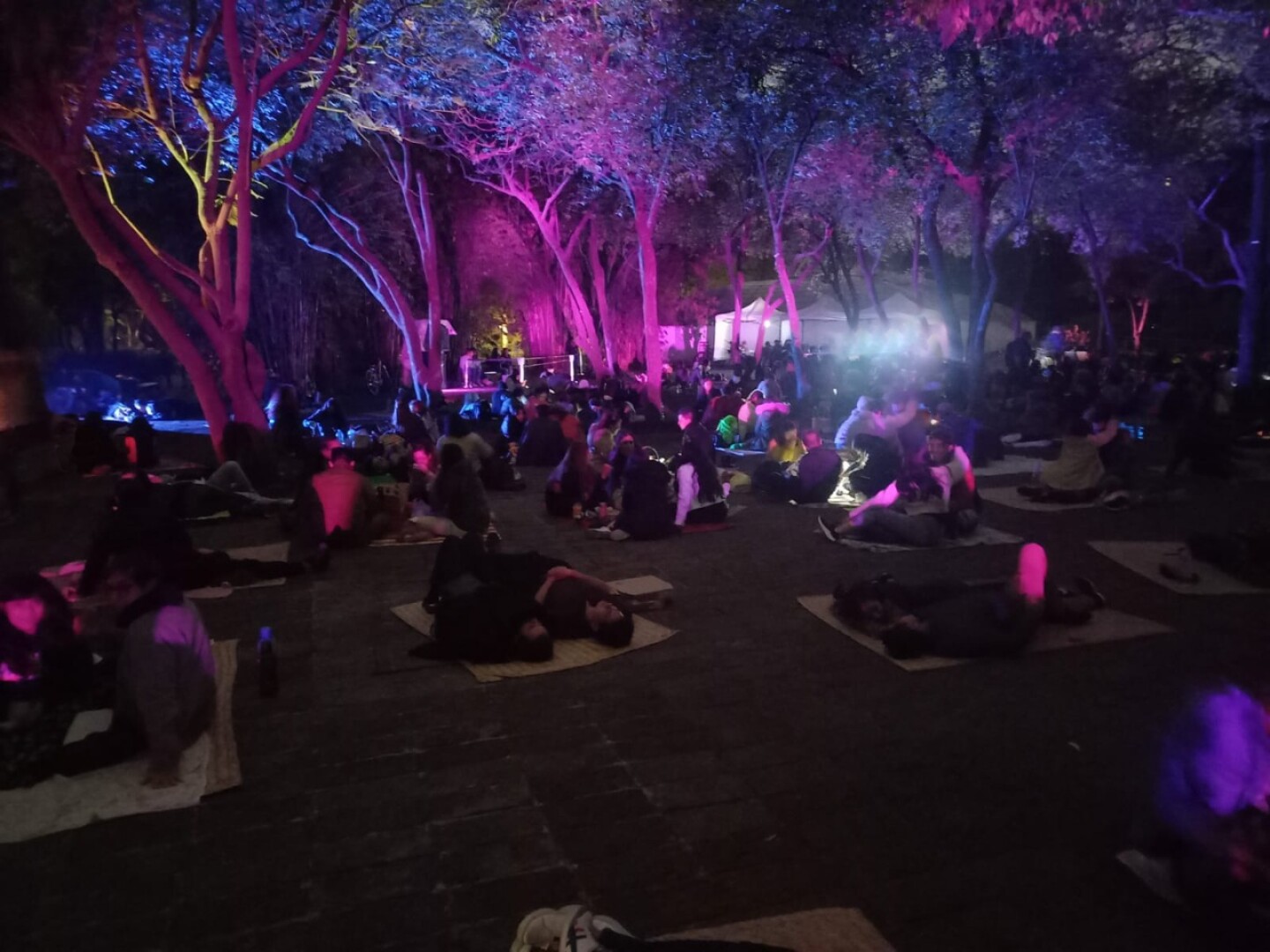 Picnic nocturno en Chapultepec