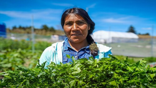convocatoria-mujeres-con-bienestar