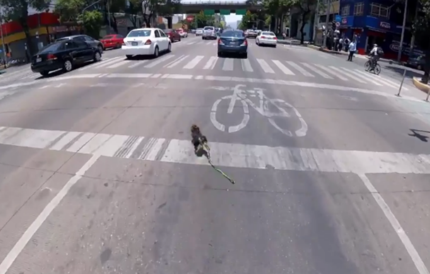 Captura de pantalla 2017-06-20 a las 8.32.59 p.m.