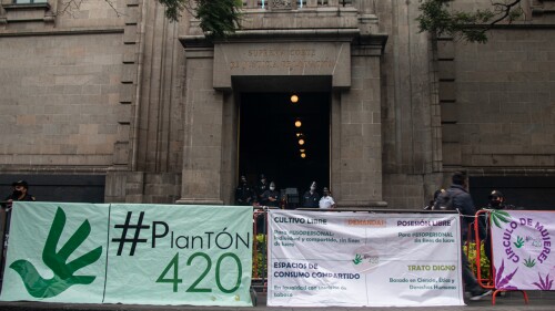 Plantón #420