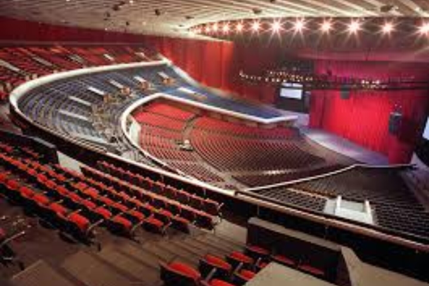 chinches Auditorio Nacional