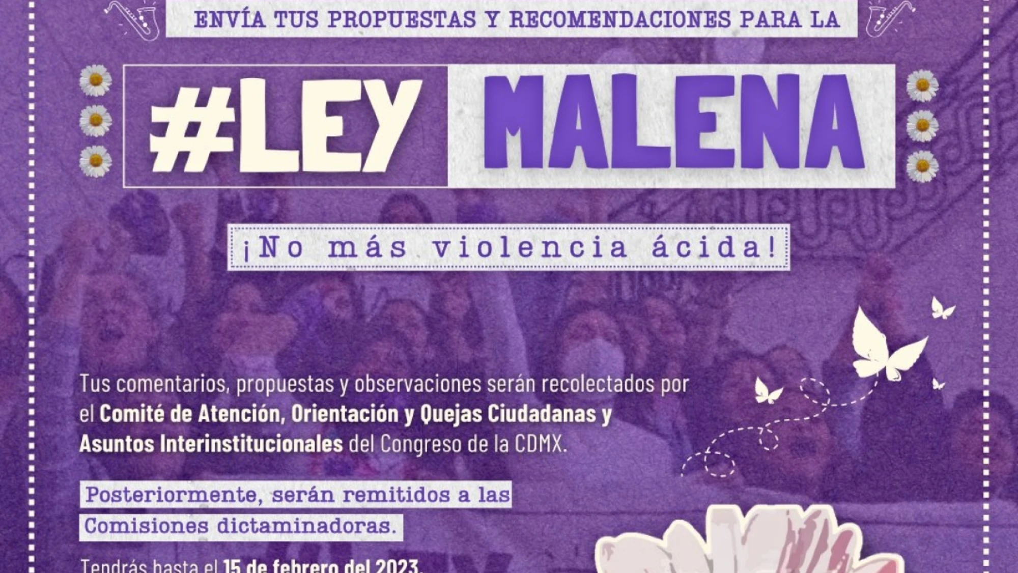 plataforma-ley-malena-congreso-cdmx-diputada