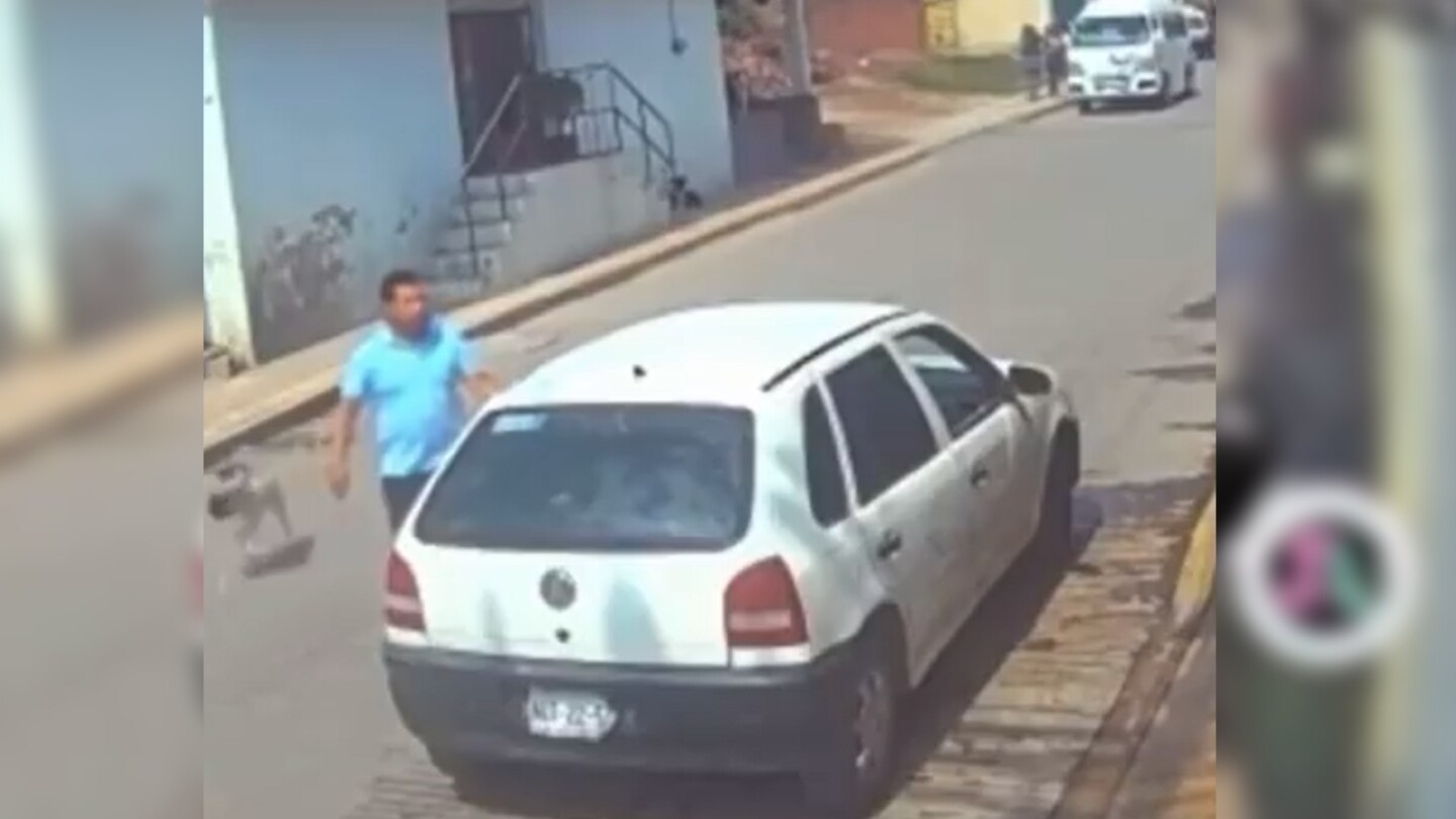 perro-tecamac-carniceria