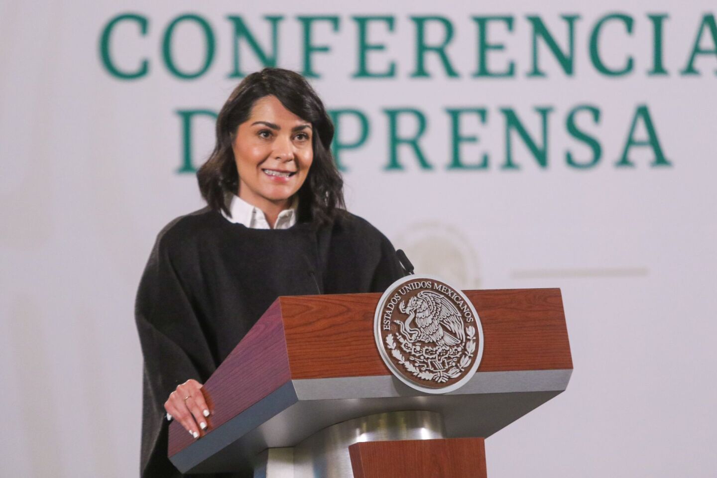 Ana Elizabeth García Vilchis, director de Redes de la Presidencia de la República, presentó el resumen anual del ¿Quién es quién en las mentiras?, durante la mañanera en Palacio Nacional.