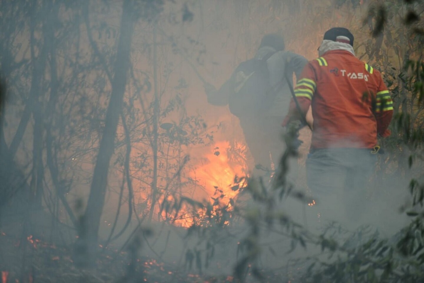 Incendios forestales Valle Orizaba-7