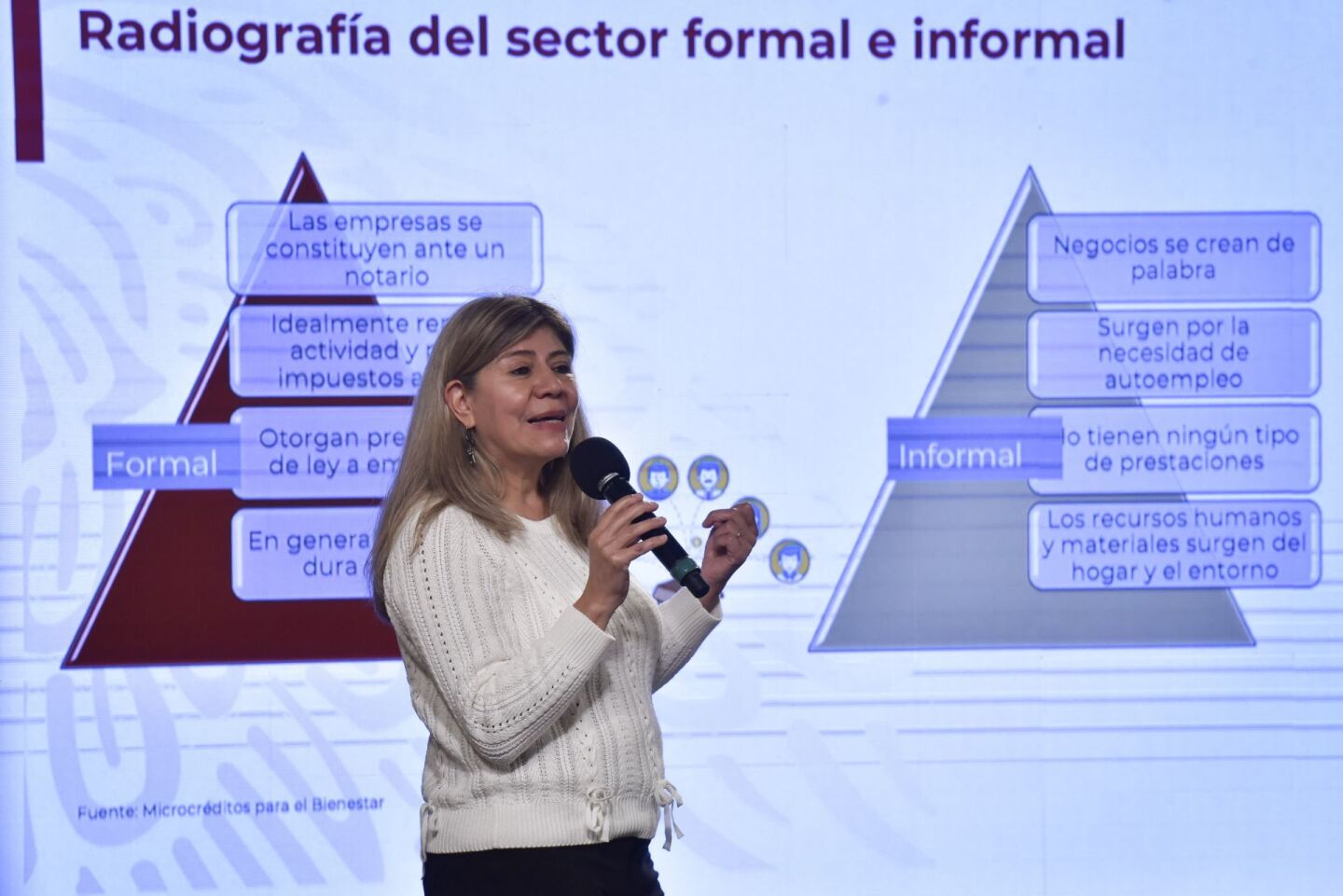 Rocío Mejía, titular del programa Tandas para al Bienestar, durante conferencia de prensa en la que se brindaron detalles sobre los microcréditos que el gobierno federal ha puesto en disposición durante la emergencia sanitaria por coronavirus (covid-19).