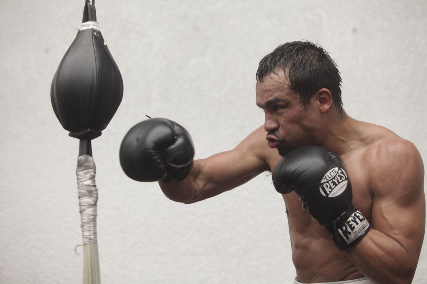 MÉXICO, D.F., 05ABRIL2012.- Entrenamiento de Juan Manuel Márquez, quien en la Arena Ciudad de México disputará el próximo 14 de Abril el campeonato superligero de la Organización Mundial de Boxeo (OMB), ante el ucraniano Serhiy Fedchenko. “Dinamita” Márquez  cuenta con un récord de 53 peleas, de las cuales 39 ha logrado ganar por Knock Out, seis derrotas y un empate. FOTO: JUAN PABLO ZAMORA /CUARTOSCURO.COM