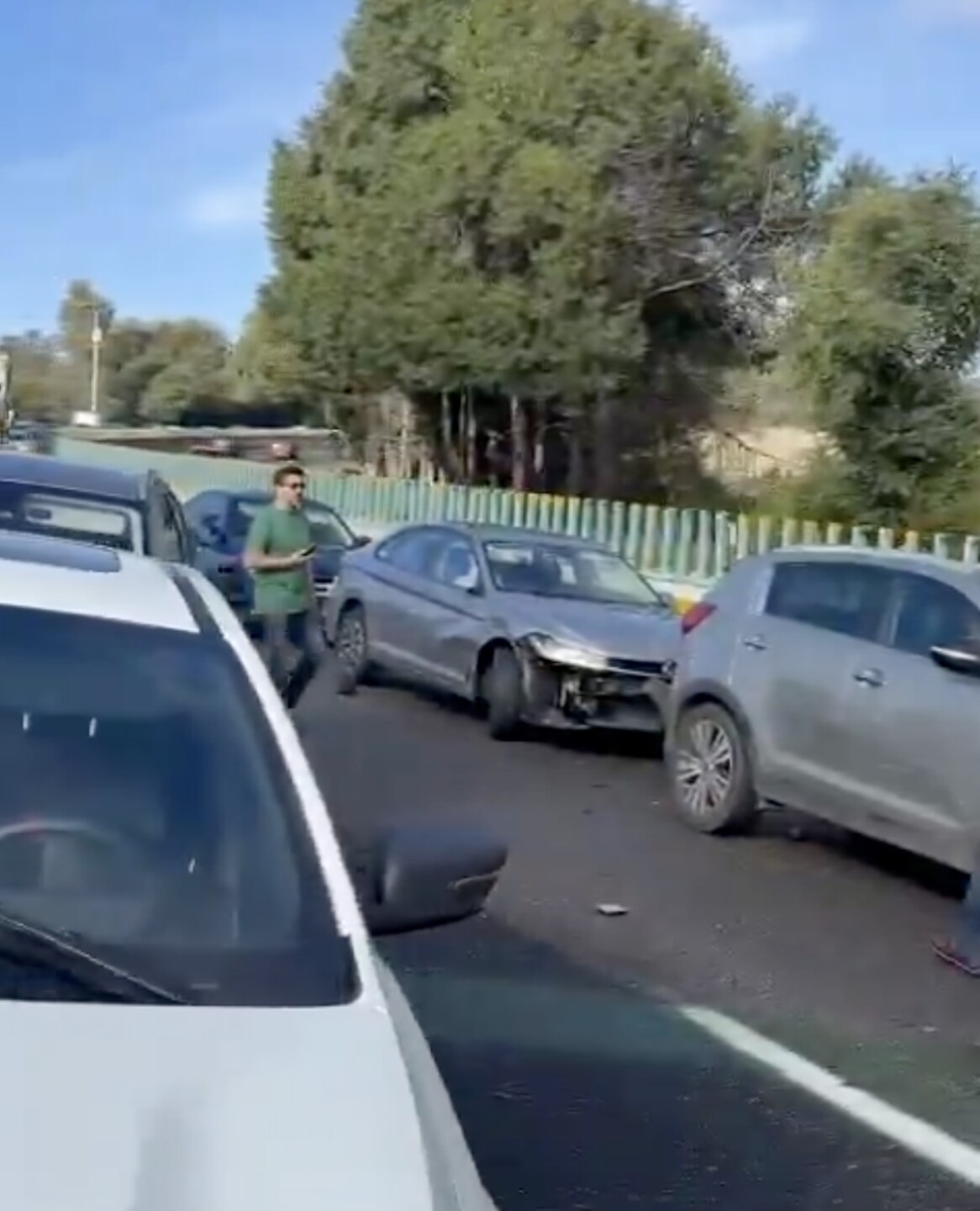 mexico-cuernavaca carambola hoy.jpg