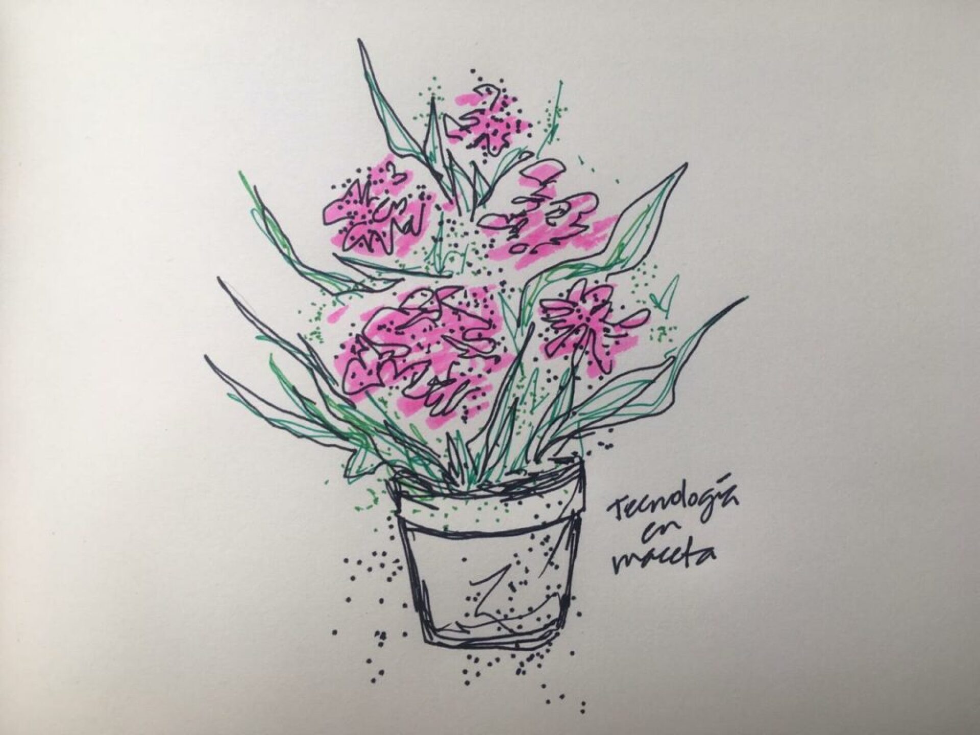 WhatsApp-Image-2021-02-20-at-14.39.47-1024x768