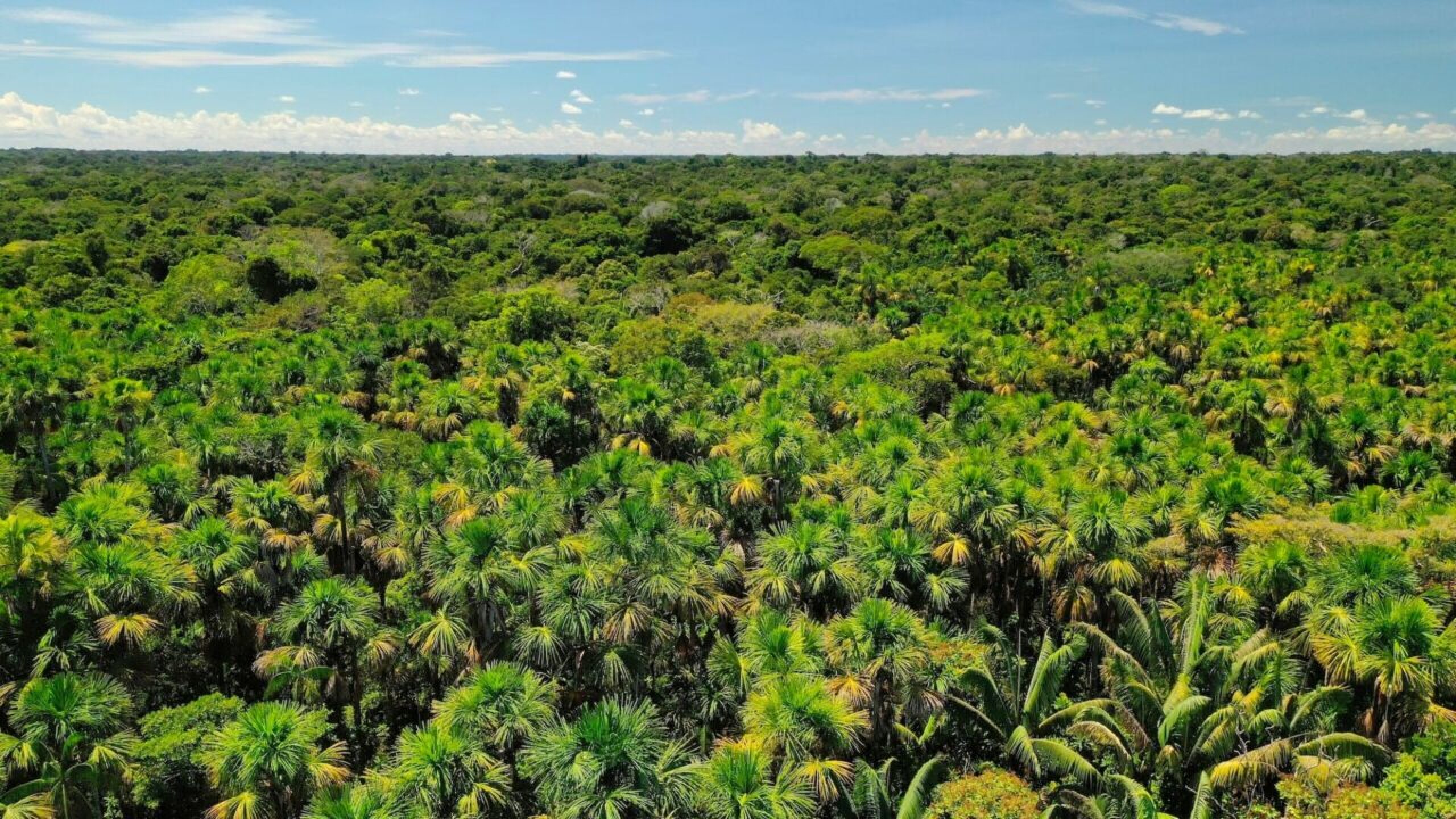 cananguchal-1280x720