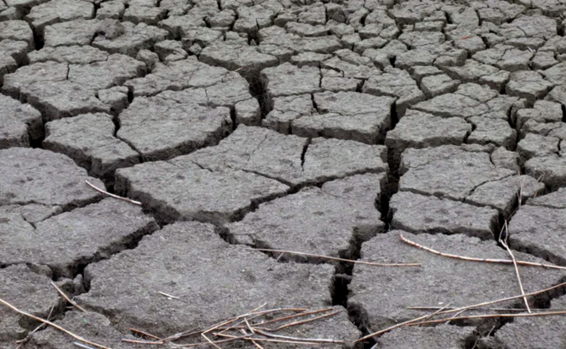 EU-calentamiento-global-efe