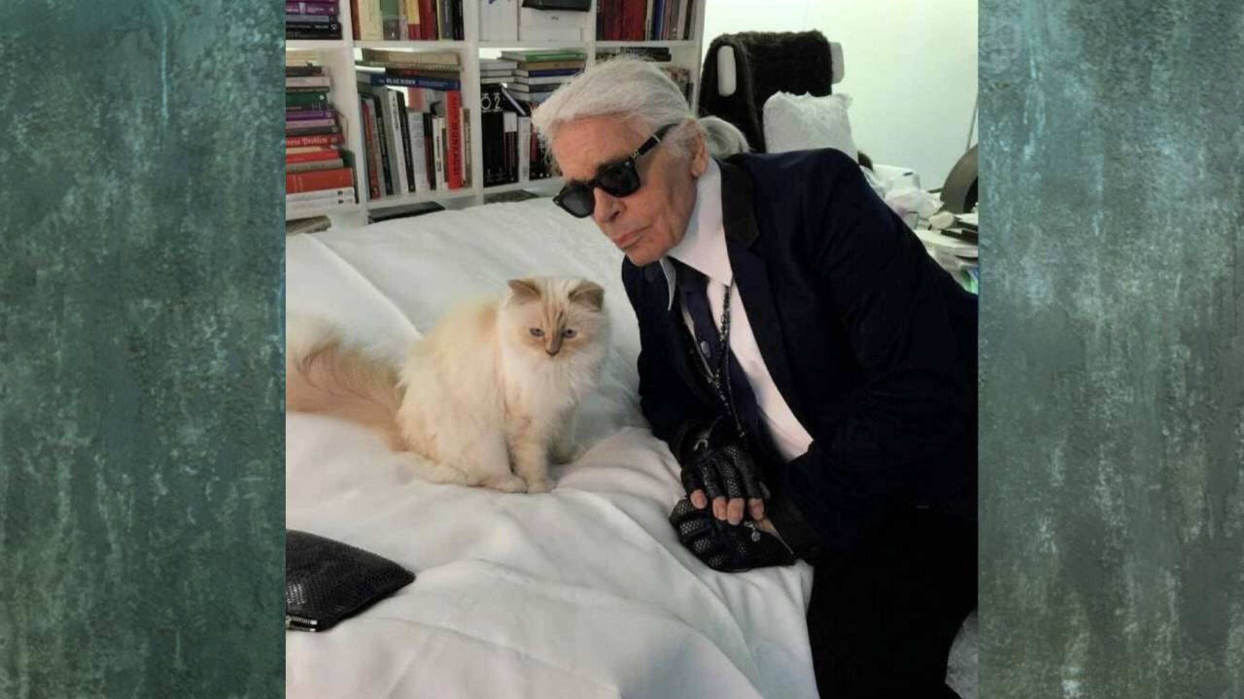 Choupette.jpg