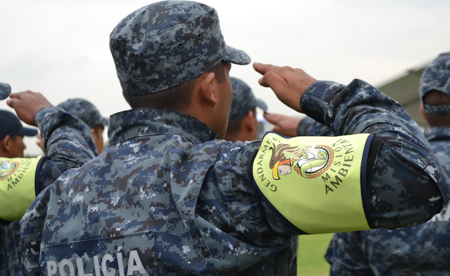 Captura de pantalla 2016-12-07 a la(s) 20.33.53