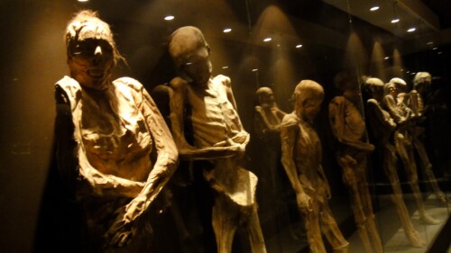 momias_de_guanajuato_secretaria_De_cultura_