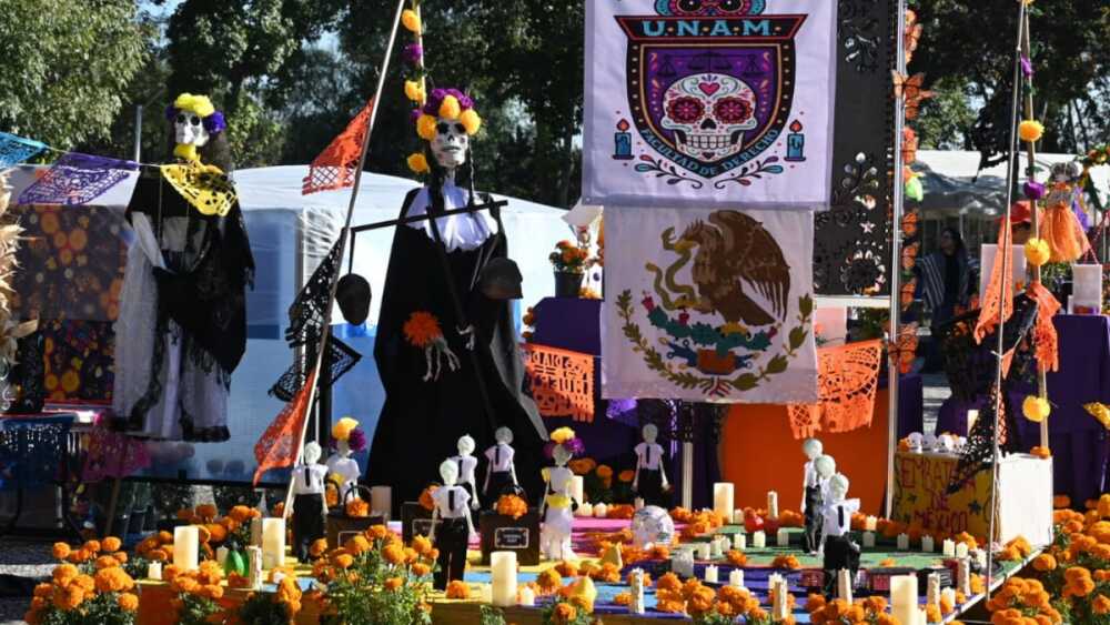 WhatsApp Image 2025-10-31 at 4.30.37 PM.jpeg