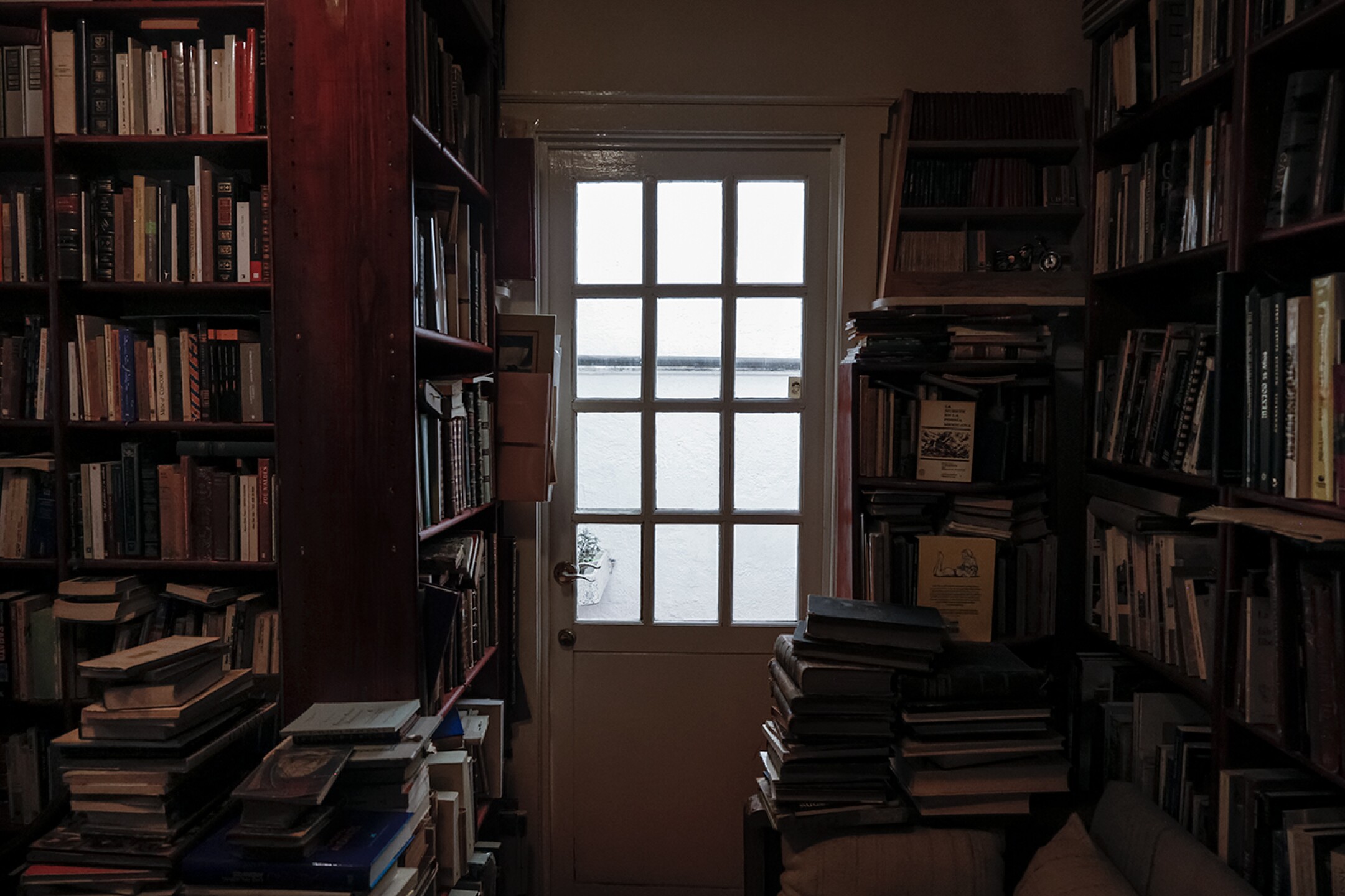 libreria-oculta-cdmx-burro-culto-dia-del-libro-11