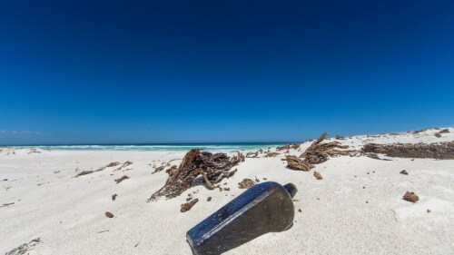 AUSTRALIA-GERMANY-OCEANOGRAPHY-OFFBEAT