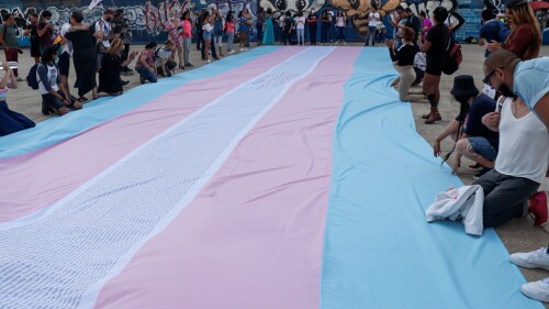 trans-bandera-comunidad-1.JPG