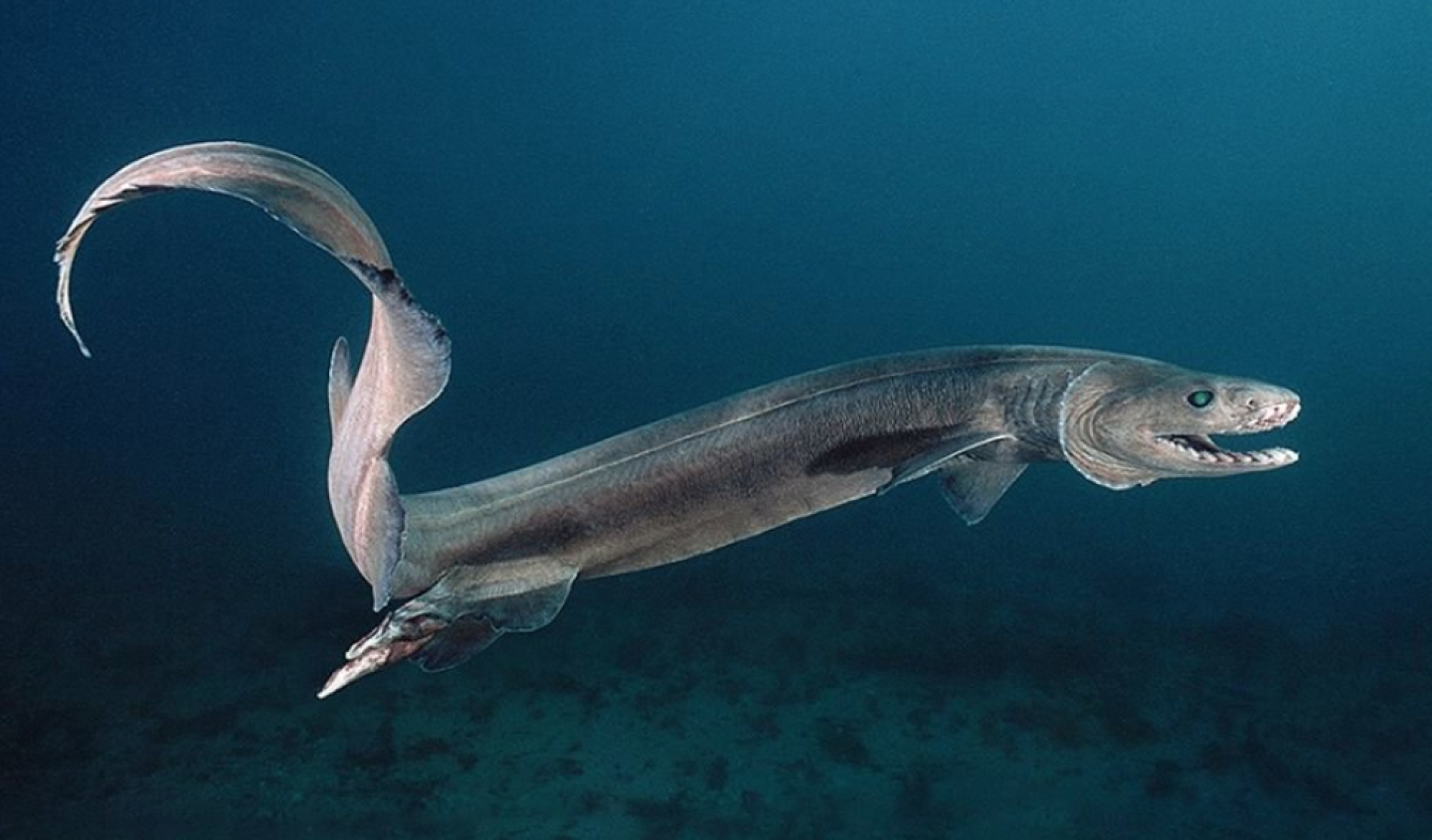 Captura de pantalla 2017-11-14 a las 5.44.43 p.m.