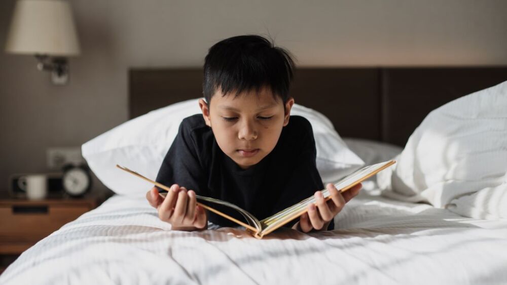 Libros que transmiten diversidad, maneras de ser y valores