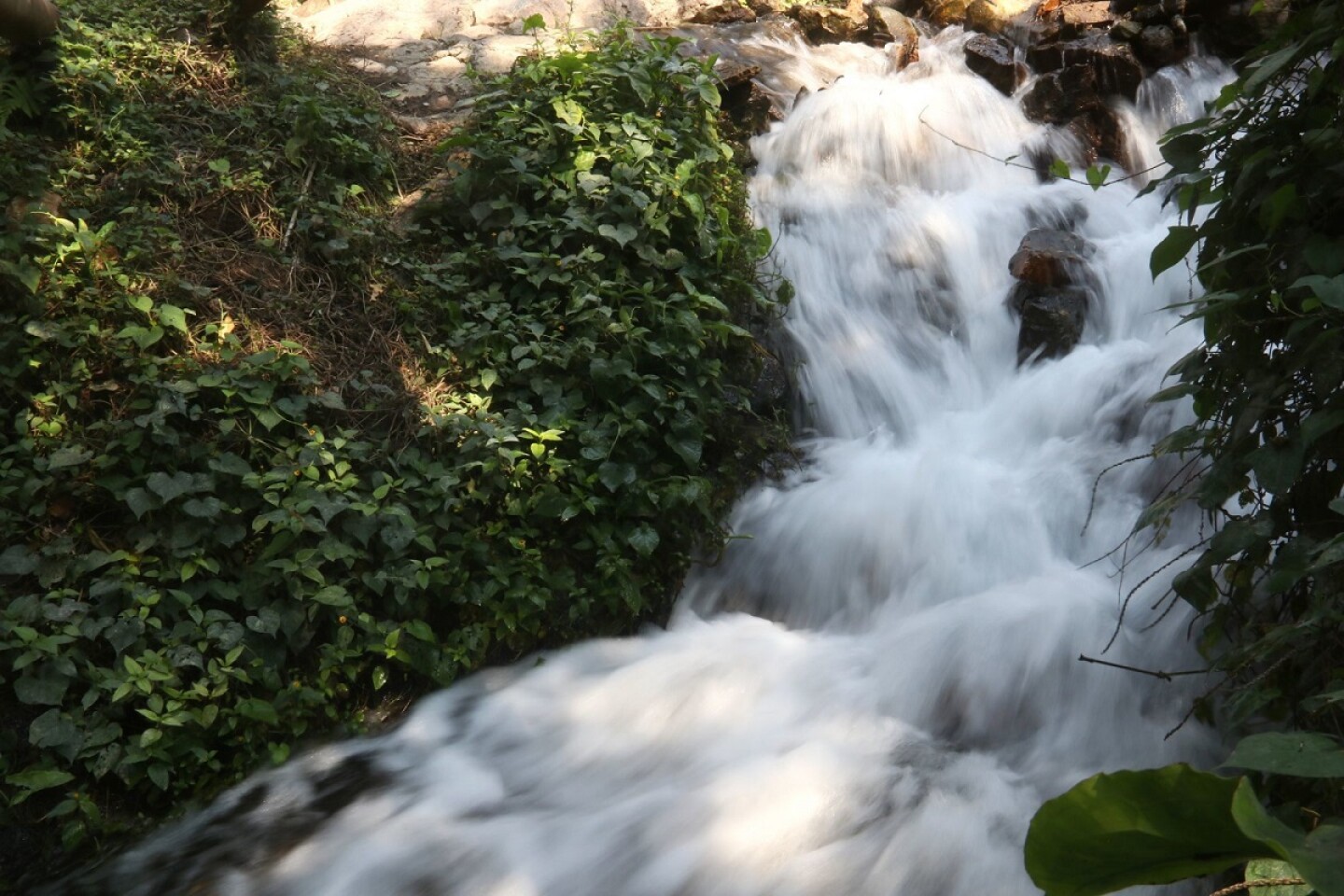 agua Manantial Santa Lucia Yautepec