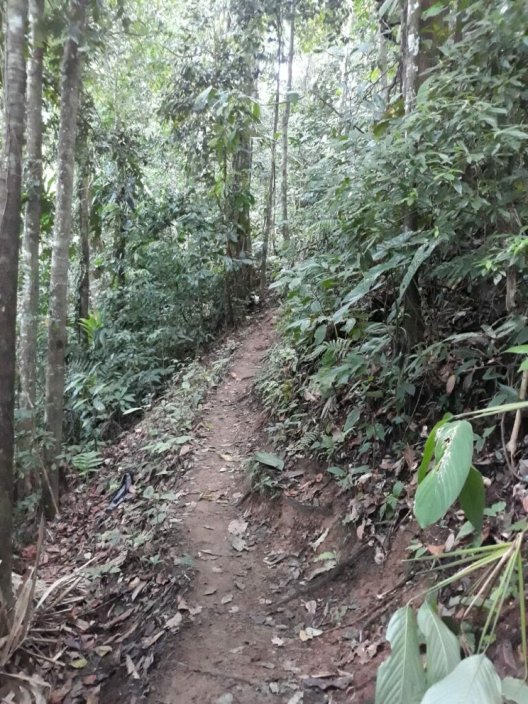 PHOTO-2021-08-07-16-01-54-2-768x1024