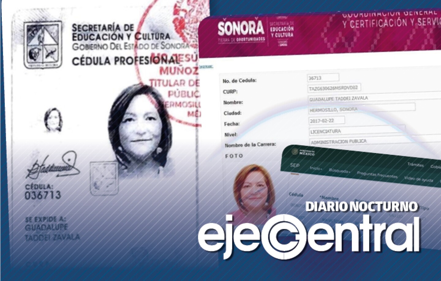 consejera Taddei