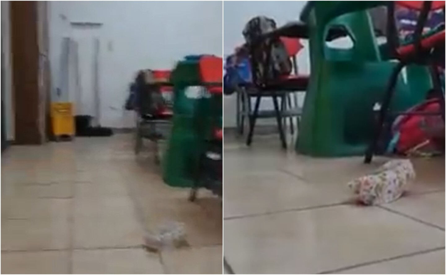 balacera primaria Sonora