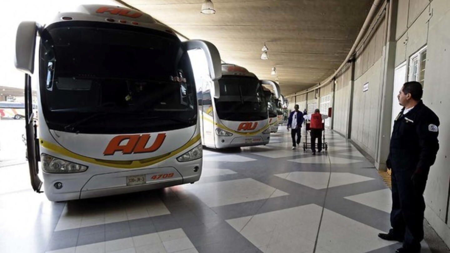 descuentos-vacaciones-estudiantes-autobus
