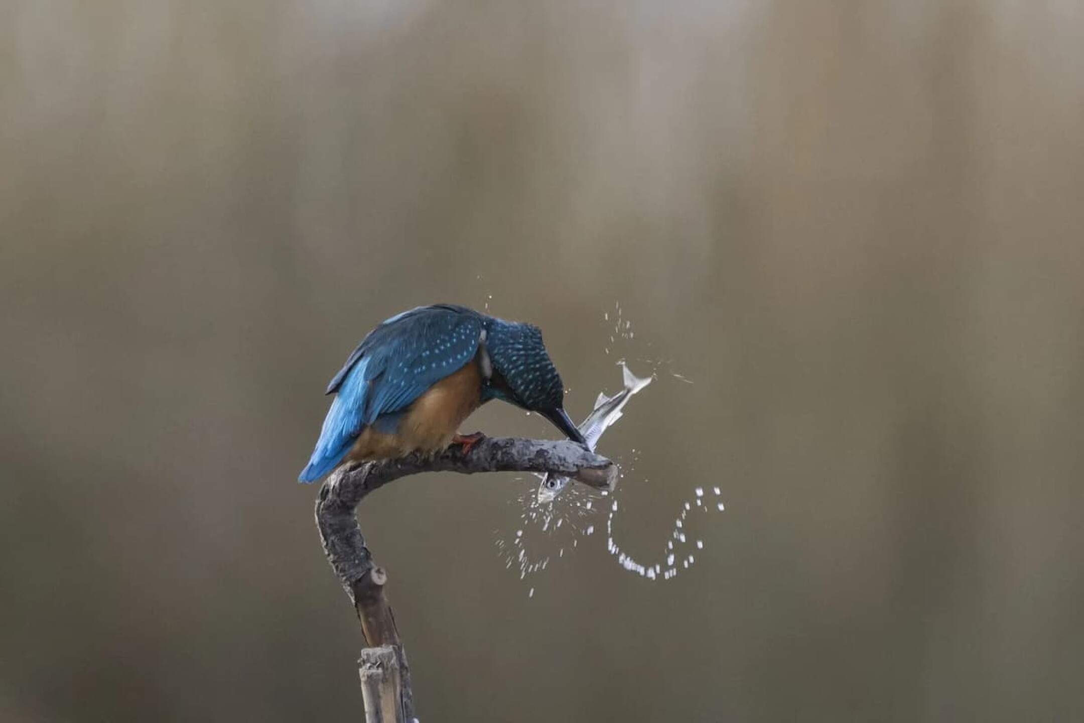 11-La-semana-en-imagenes
