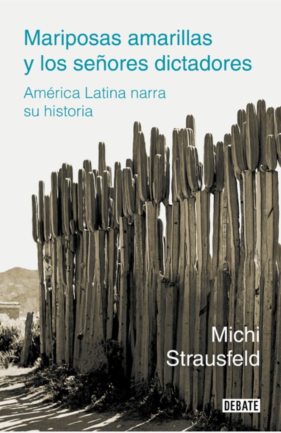 michi_strausfeld_boom_latinoamericano_literatura_america_latina-1